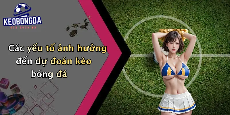 Các yếu tố ảnh hưởng đến dự đoán kèo bóng đá