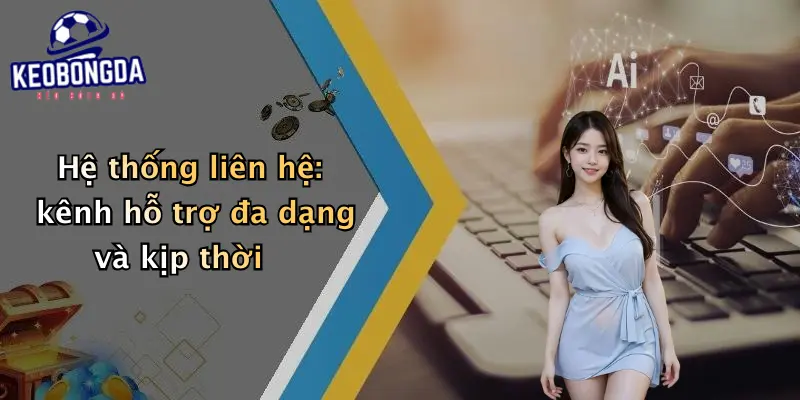Hệ thống liên hệ: kênh hỗ trợ đa dạng và kịp thời