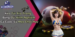 Kèo Tài Xỉu Trong Bóng Đá: Kinh Nghiệm Cá Cược Và Mẹo Chơi Hay