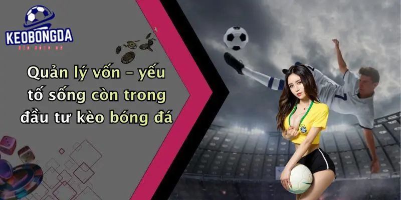 Quản lý vốn – yếu tố sống còn trong đầu tư kèo bóng đá