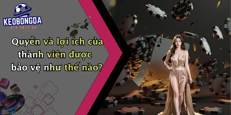 Quyền và lợi ích của thành viên được bảo vệ như thế nào?