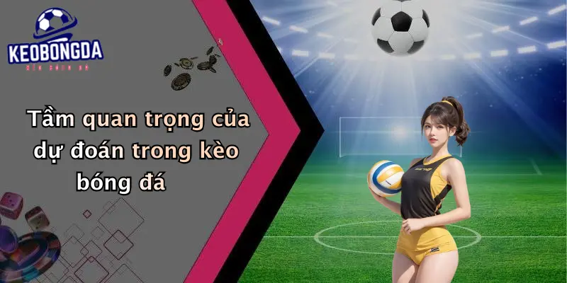 Tầm quan trọng của dự đoán trong kèo bóng đá