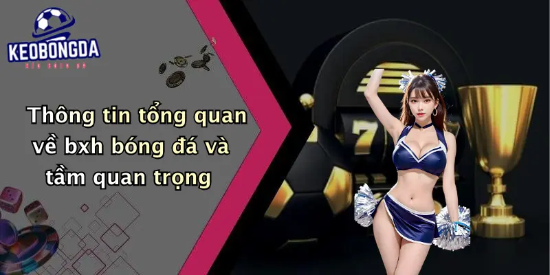 Thông tin tổng quan về bxh bóng đá và tầm quan trọng