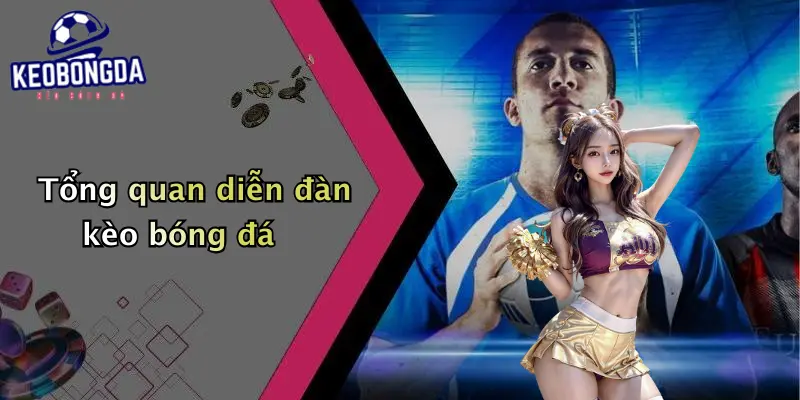 Tổng quan diễn đàn kèo bóng đá