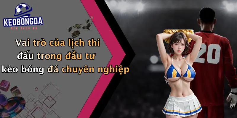 Vai trò của lịch thi đấu trong đầu tư kèo bóng đá chuyên nghiệp