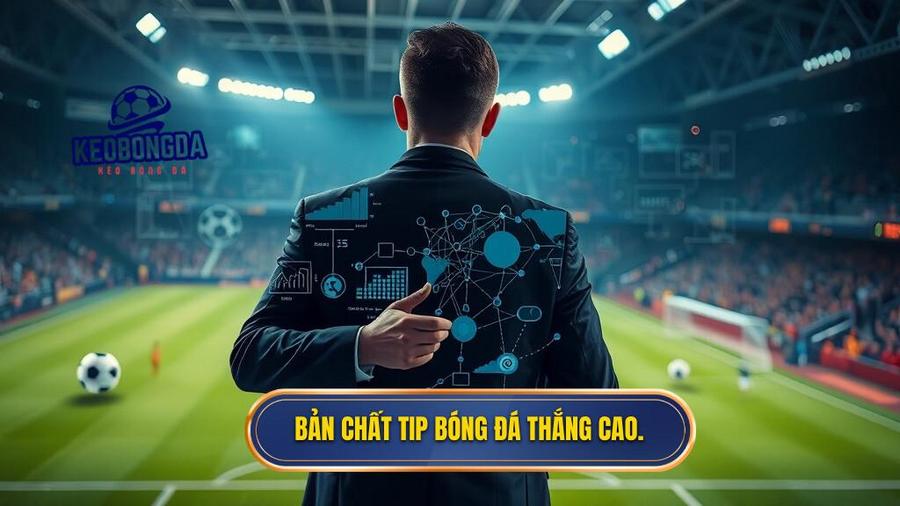Bản chất của tip bóng đá thắng cao là gì?