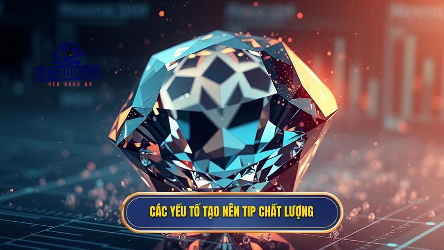 Phân tích các yếu tố cốt lõi tạo nên một tip chất lượng