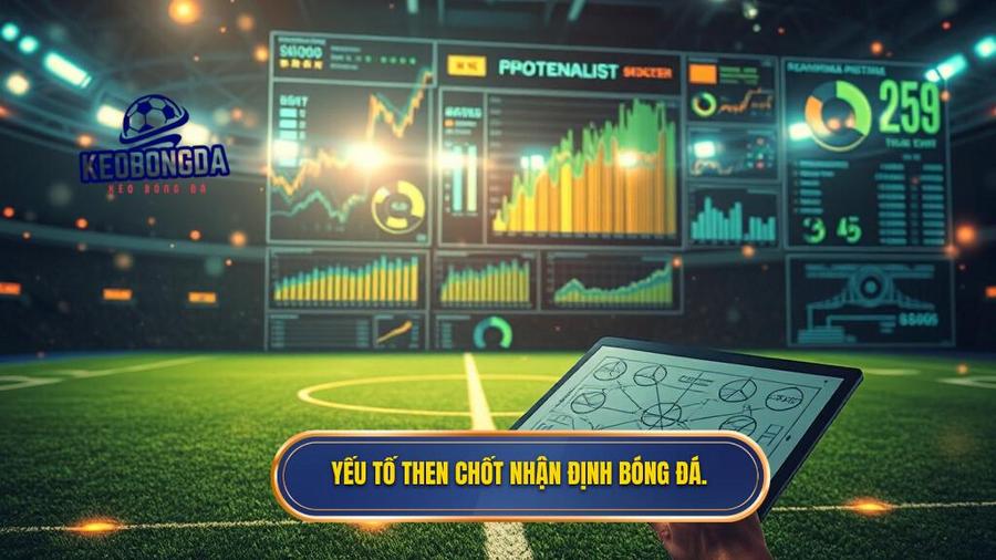 Các yếu tố then chốt trong một bản nhận định bóng đá chuyên sâu