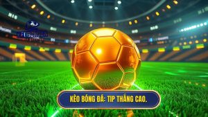 tip bóng đá thắng cao