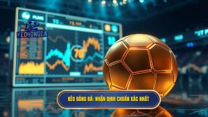 nhận định bóng đá hôm nay chuẩn xác nhất